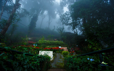 Munnar Tour Packages