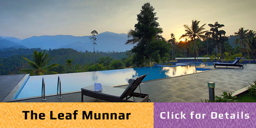 Munnar Tour Packages