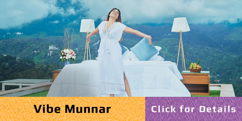 Munnar Tour Packages